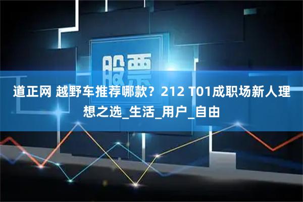 道正网 越野车推荐哪款？212 T01成职场新人理想之选_生活_用户_自由